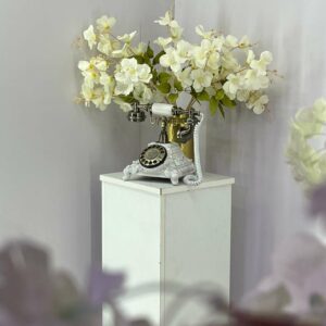 Livre d'or audio Animation livre d'or audio